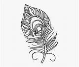 Quill Pinclipart Clipartkey Accéder sketch template