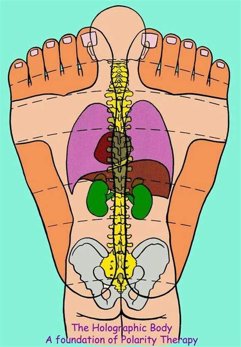 Pin By Maria łangowska On Acupuncture Side Effects Reflexology