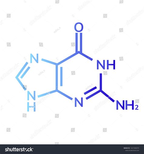 Guanine Chemical Formula On White Background Stock Vector Royalty Free 1421590373 Shutterstock