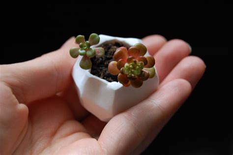 Tutorial Tiny Polymer Clay Plant Pots