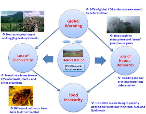 Climate Change Causes Effects And Solutions Essay