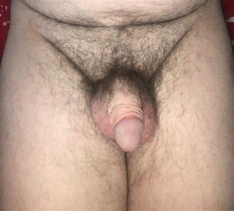 Hairy Soft Cock Pics XHamster