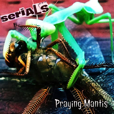 Praying Mantis Serials Skateboard Naked Productions