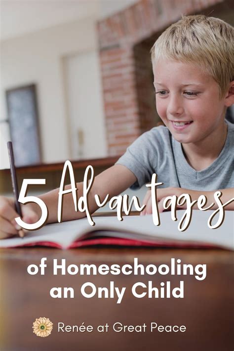 5 Advantages Of Homeschooling An Only Child Homeschool Only Child