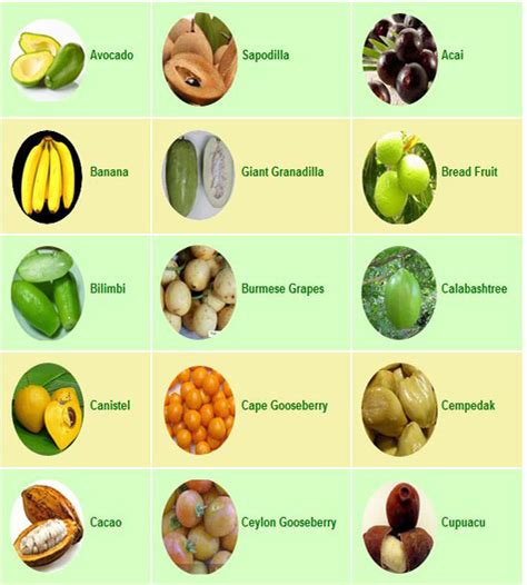 Juwita Blog Fruits Tropical Fruit List