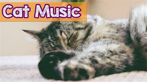 1 Hour Relaxing Music For Cats Cat Therapy Music Soothe And Calm Your