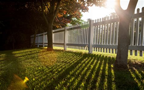 Fence Full Hd Wallpaper And Background Image 2560x1600 Id421566