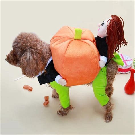 Dog Pumpkin Halloween Costume Commonlee Store