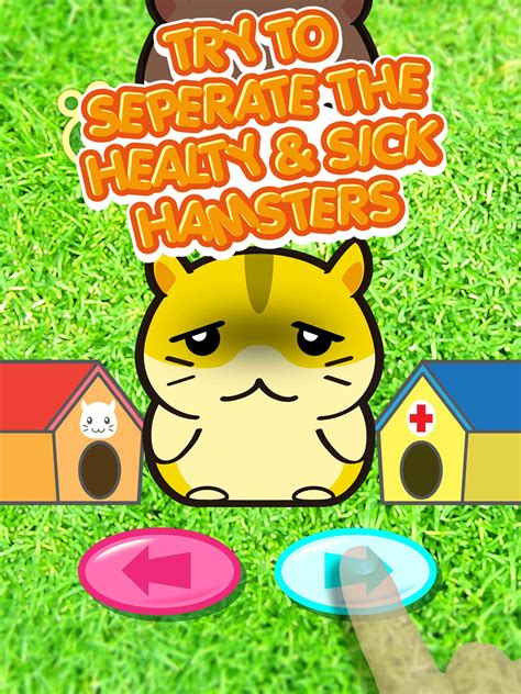 Descarga De Apk De Little Smart Hamster Pets Life Para Android