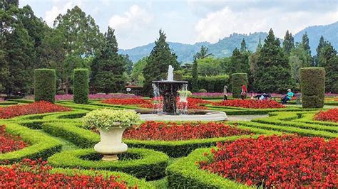 Tersedia dengan gaya sembilan tema yakni, taman bertema air, taman mawar, taman gaya perancis. Taman Bunga Di Pandeglang : New Normal Spot Foto Harga Tiket Masuk Taman Bunga Nusantara 2020 ...
