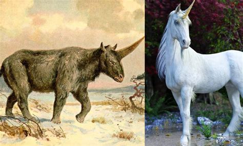Unicorns Were Real But Not Quite Beautiful As You Had Imagined