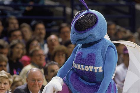 Mascot Charlotte Hornets