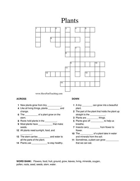 Printable Crossword Puzzles Printable Math Worksheets Science