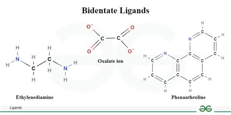 Ligands Definition Types Examples Denticity And Coordination
