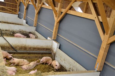 Les Salaisonniers Doivent Bichonner Les Producteurs De Porc La Haute Saône Agricole Et Rurale