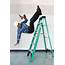 Worker Falling Off A Ladder Stock Photo  Image Of Lobby Office 83165046