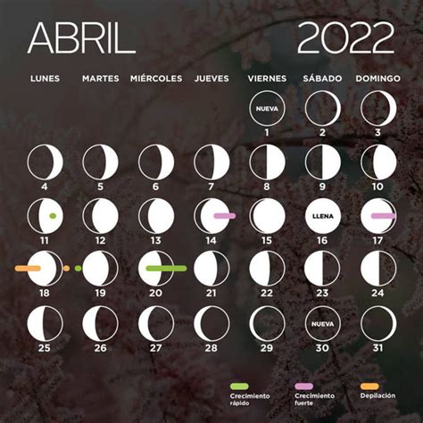 Calendario Lunar Abril 2022 Fases De La Luna Magic Hair Oficial