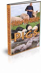 Raising Hogs For Profit Images