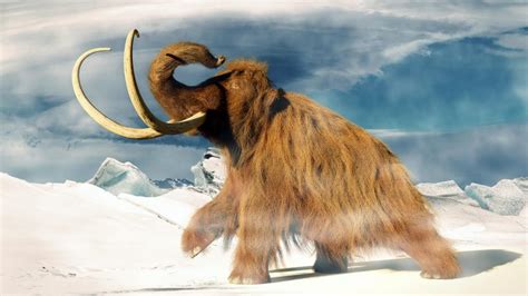700000 Years Of Woolly Wonders Unraveling The Genetic Yarn Of Mammoth