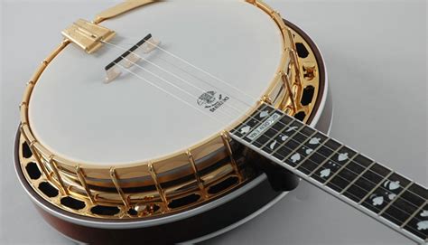 Introduction To The String Banjo Guitar Noise