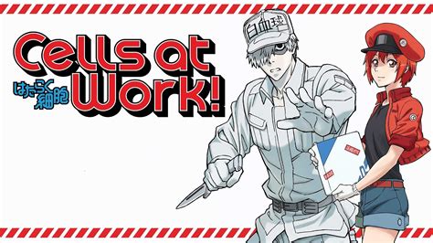 Cells At Work Wallpapers Kolpaper Awesome Free Hd Wallpapers
