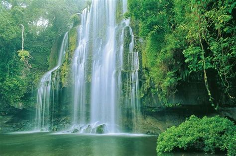 Pin By Wakewood On Waterfalls Costa Rica Waterfall Costa Rica Travel
