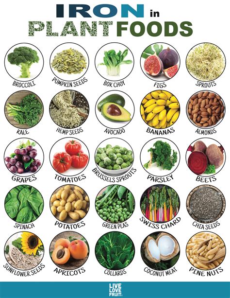 20 Plant Based Foods Rich In Iron To Stay Energized And Anemia Free