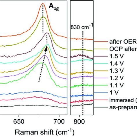 A In Situ Raman Spectra Of The Cofe 32 Red Sample Measured In A 1 M Download Scientific