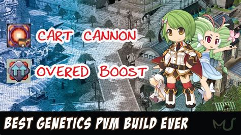 Seirei Best Genetics Cart Cannon Build For Pvm In Ragnarok Online
