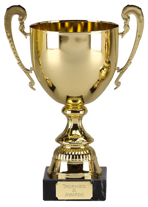 Transparent Fa Cup Trophy Png Champions League Premier Trophy Icon