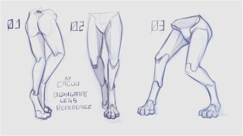Digitigrade Legs Reference By Cacuu Art Reference Poses Drawing