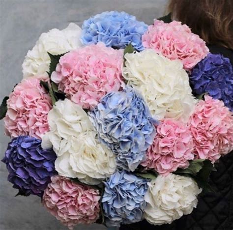 The delivery is free, and available same day, next day or timed. Bulk Flowers in 2020 | Bulk flowers online, Flowers online ...