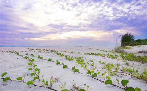 West Wind Island Resort Sanibel Island Florida Prezzi 2022 E Recensioni