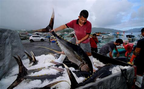 KKP Susun RPP Penangkapan Ikan Terukur NUSANTARAMARITIMENEWS