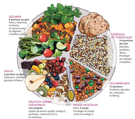 Une Alimentation Végétale Saine Et équilibrée Conseils Pratiques Avf