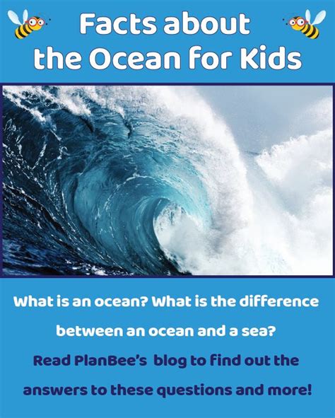 Facts About The Ocean For Children In 2021 Ocean Kids Blog How To