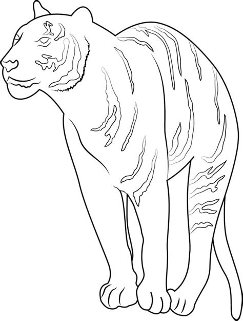 The Cutest Baby Tiger Coloring Page Free Printable Coloring Pages For