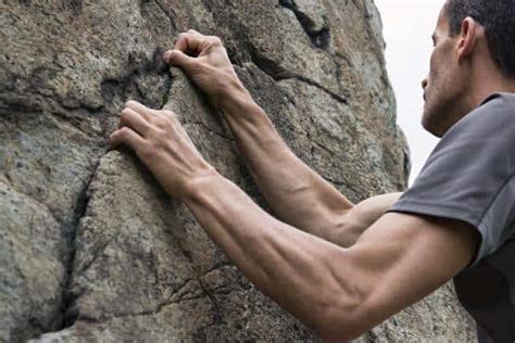 Rock Climbing Muscles
