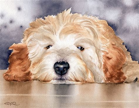 Goldendoodle Art Print Watercolor By Artist Dj Rogers Etsy