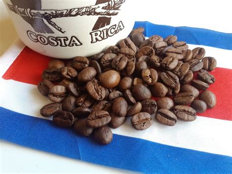Coffee From Costa Rica Mmmmmm 😌 Costa Rica Food Coffee
