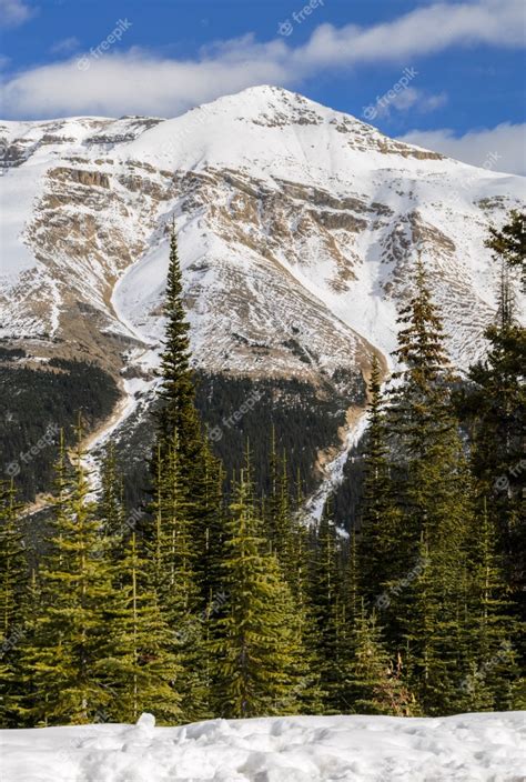 Premium Photo Snow Capped Canadian Rocky Mountains At Banff National