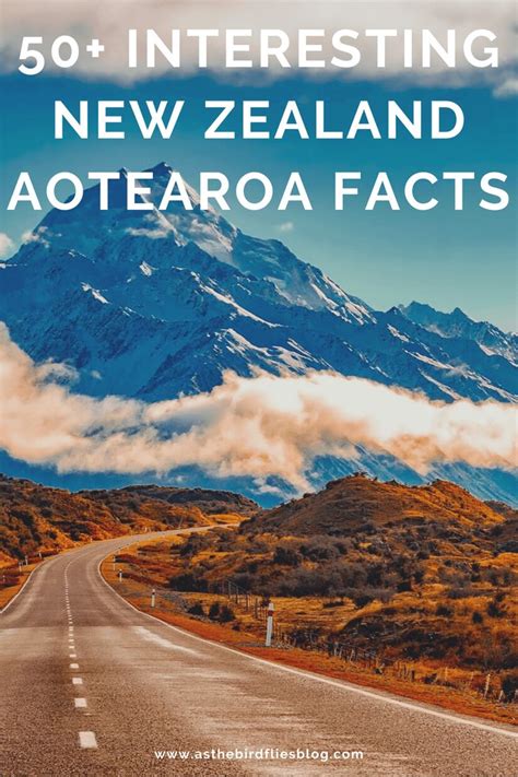 New Zealand Travel 51 Interesting Facts About New Zealand Aotearoa