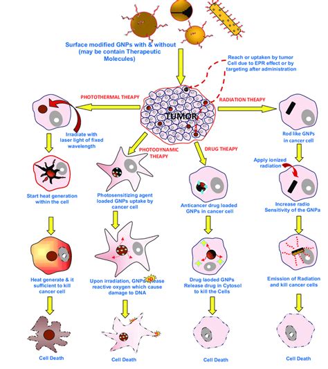 It is being used in many hospitals and clinics around the world as a safe, effective and affordable element that has extraordinary benefits in. Cancer treatment using specific properties of gold ...
