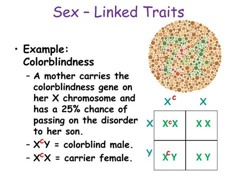 Ppt Incomplete Dominance Codominance Sex Linked And Polygenic Inheritance Powerpoint