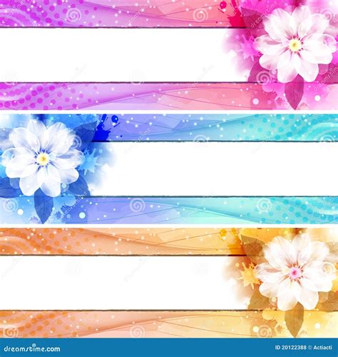 Flower Banner Set Stock Vector Illustration Of Atmosphere 20122388