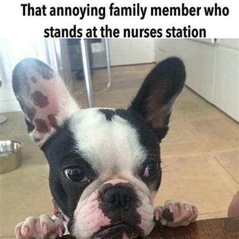 Or Resident Rn Humor Medical Humor Nurse Humor Funny Medical