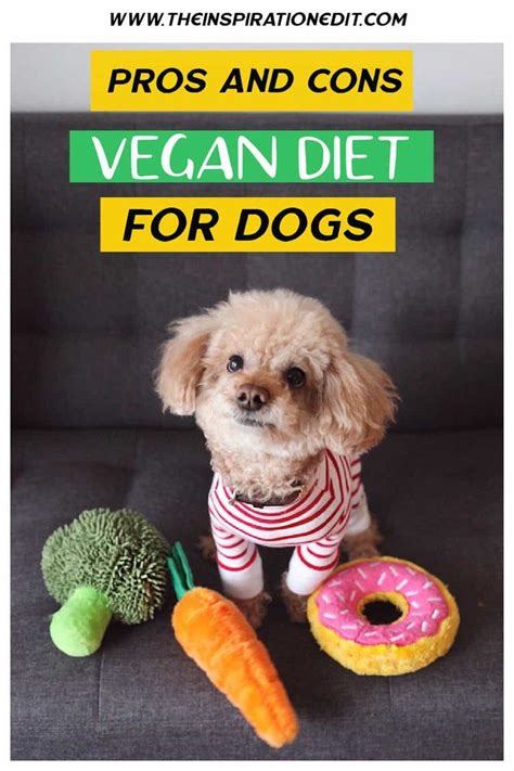 Pros And Cons Of Vegan Diet For Your Dog Dog Diet Vegan Diet Vegan Dog