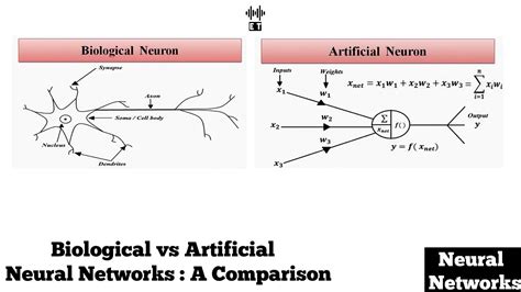 artificial neural network and biological neural network