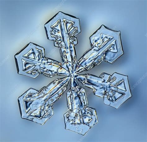 Snowflake Crystal Lm Stock Image C0238079 Science Photo Library