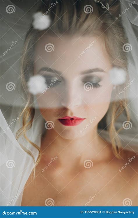 Stylish Bride Posing Under Veil In Soft Light Near Window In Hotel Room